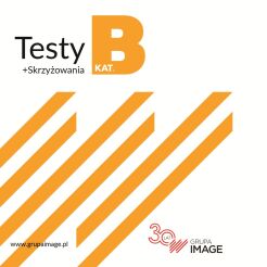 DVD Testy kat B 2024 Image