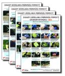 Plansze Pierwsza pomoc - Wypadek Drogowy - 2