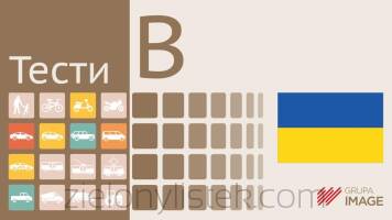 Testy Prawo Jazdy Online kat. B w języku ukraińskim