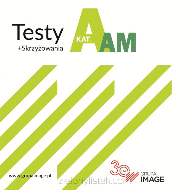 DVD Testy kat A 2024 wersja Image