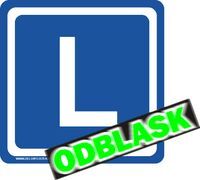 Naklejka L samoprzylepna odblaskowa <b>30 x 30</b>